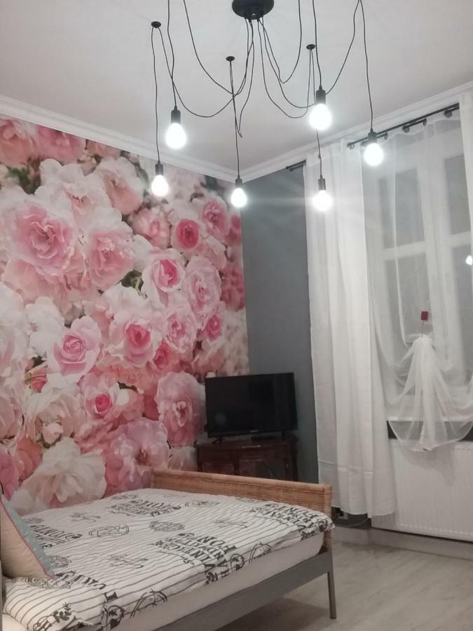 Vintage - Rose Apartament Torun Exterior photo