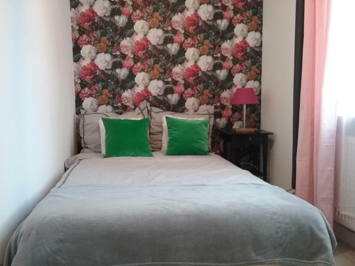 Vintage - Rose Apartament Torun Exterior photo
