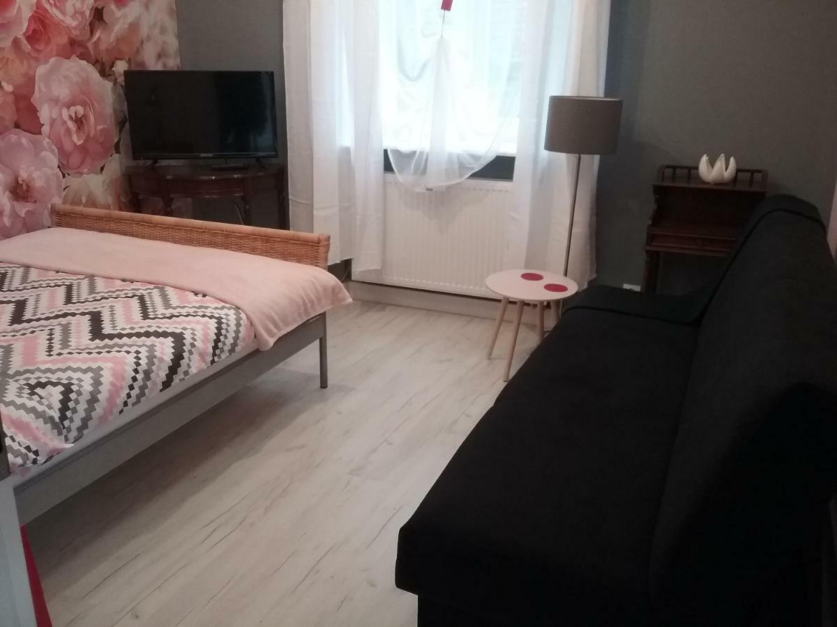 Vintage - Rose Apartament Torun Exterior photo